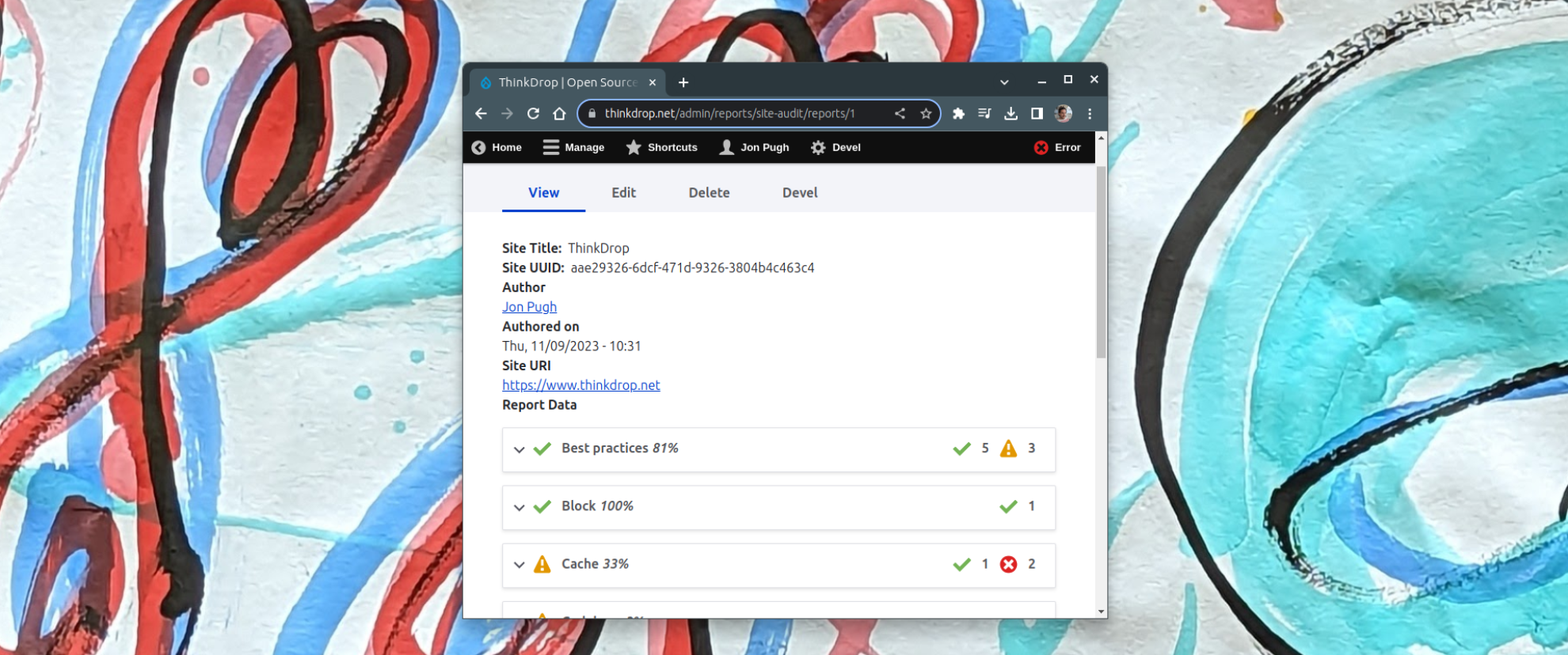 Site Audit 4.0 Report Entity Page